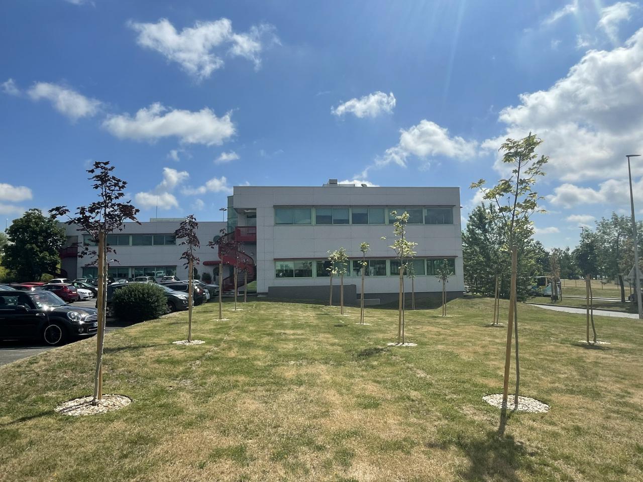 Bureau Orléans 298m² Location bureau Orléans Loiret OLBUR2315110 11